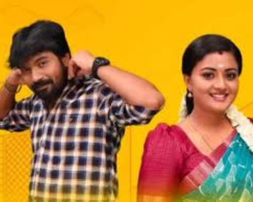 சிறகடிக்க ஆசை சீரியலில் புது திருப்பம்: சிந்தாமணியின் ஆசை மகள் சத்யாவை காதலிக்கிறாரா?