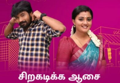 சிறகடிக்க ஆசை சீரியலில் செல்வத்திற்காக முத்து செய்த செயல்