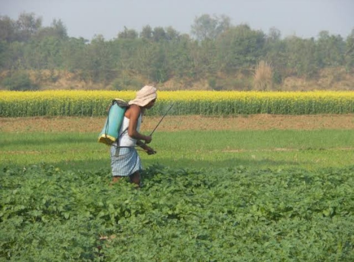 ஈரான் போர் காரணமாக LPG மற்றும் உரம் தட்டுப்பாடு இந்திய விவசாயிகள் மீது தாக்கம்