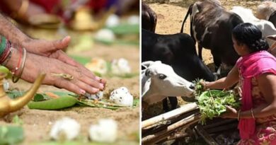 பித்ரு தோஷம் போக்கும் ஆடி அம்மாவாசை -முன்னோர்களின் ஆசி கோடி புண்ணியம்